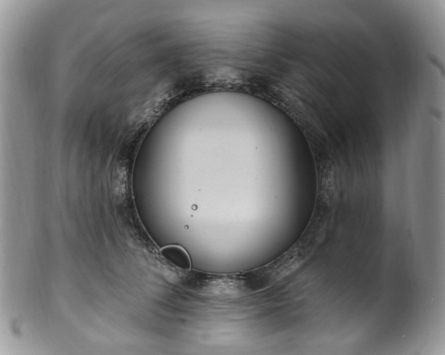 X0000100410708200806131036