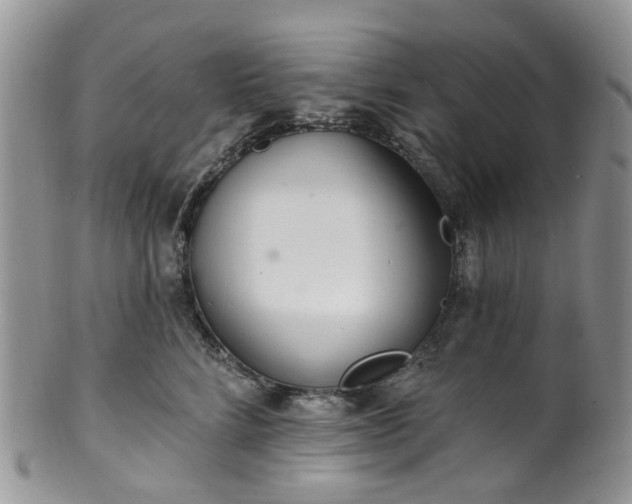 X0000100410712200806131036