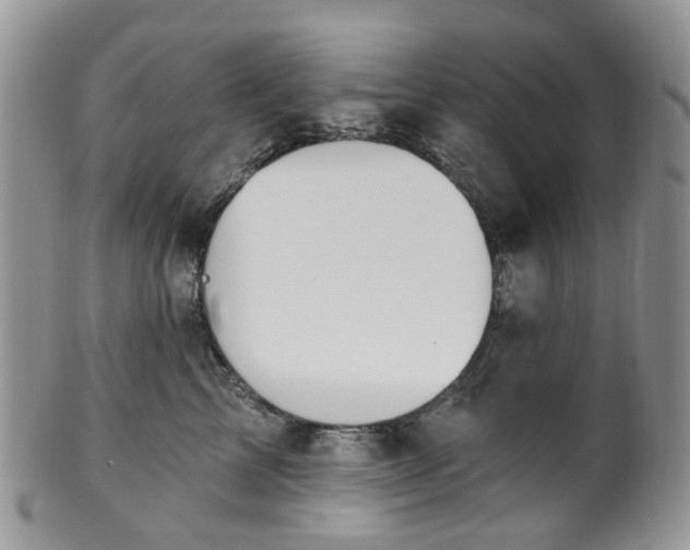 X0000100410713200806131036