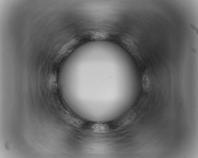 X0000100410714200806131036