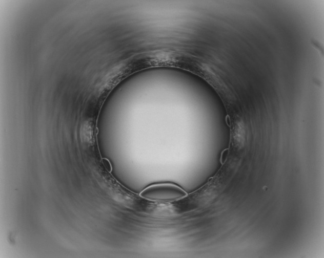 X0000100410715200806131036