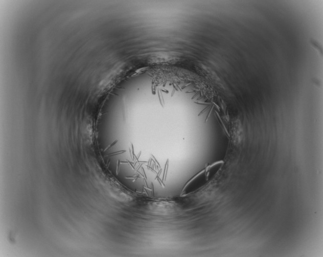 X0000100410716200806131036