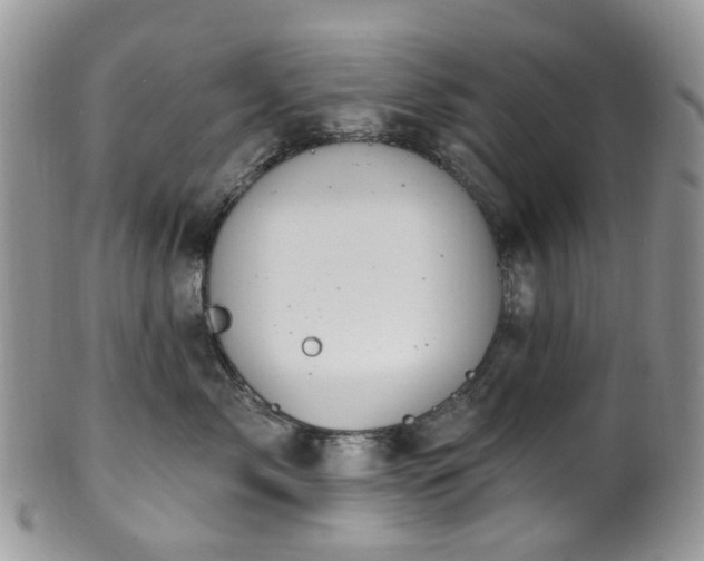 X0000100410717200806131036