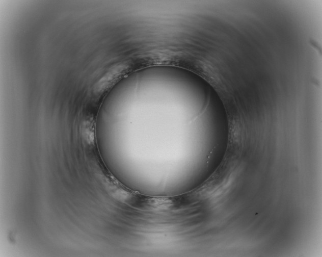 X0000100410719200806131036