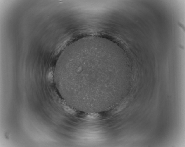 X0000100410720200806131036