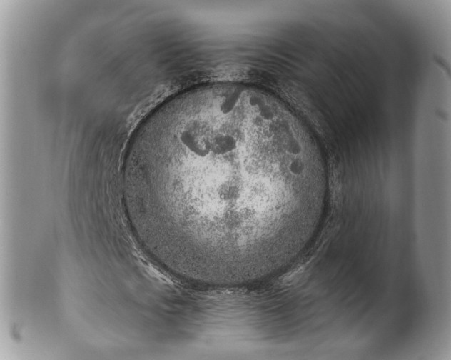 X0000100410721200806131035