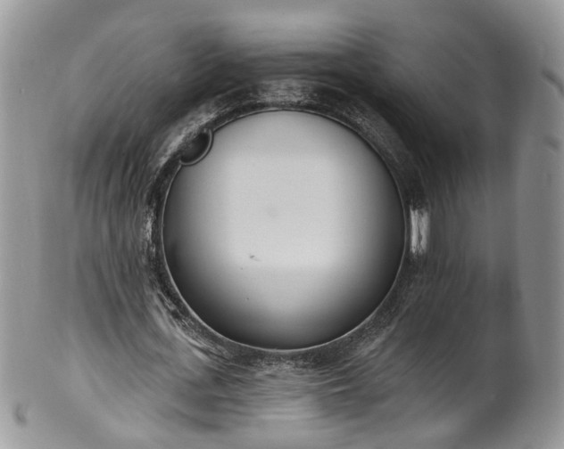 X0000100410723200806131035