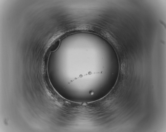 X0000100410724200806131035