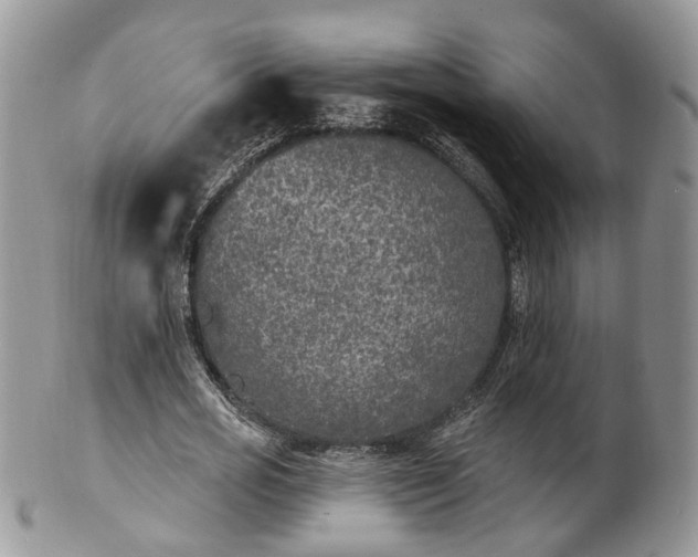 X0000100410725200806131035