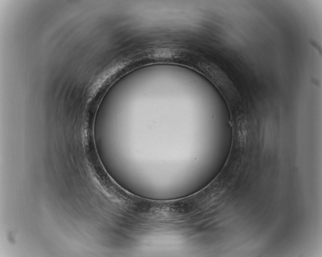 X0000100410728200806131035