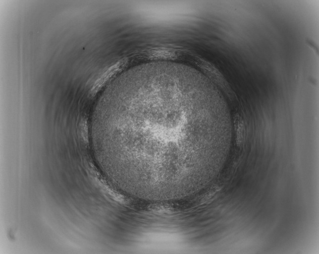 X0000100410729200806131035