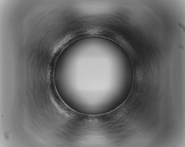 X0000100410730200806131035