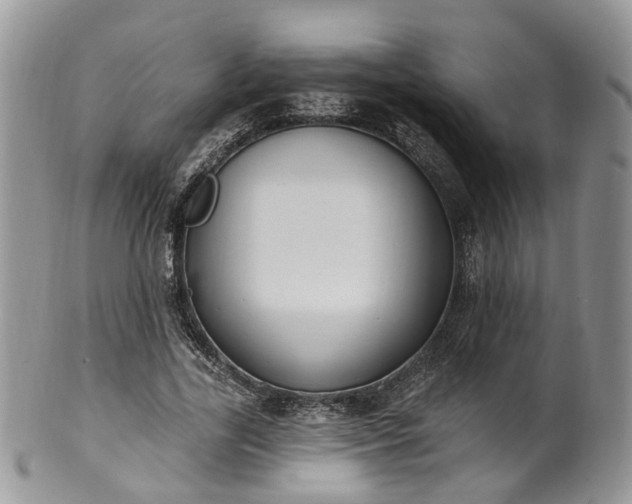 X0000100410731200806131035