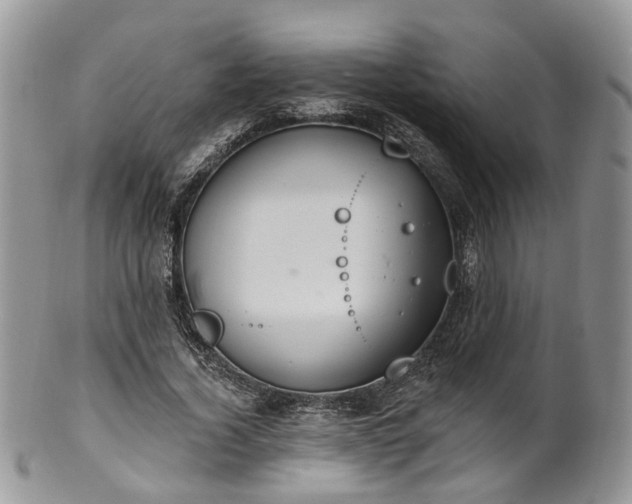 X0000100410732200806131035