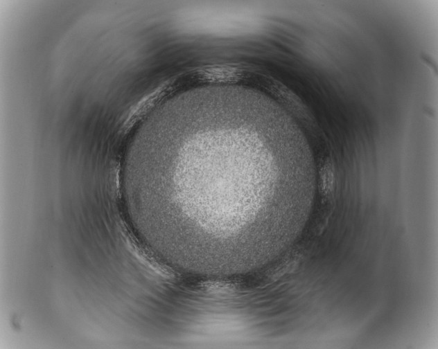 X0000100410733200806131035