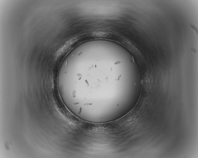 X0000100410734200806131035