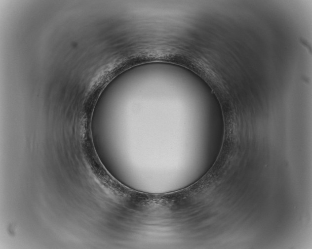 X0000100410736200806131035