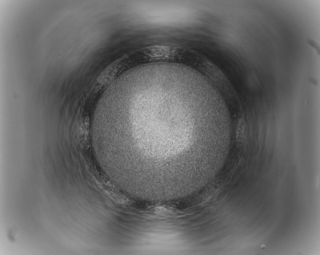 X0000100410737200806131035