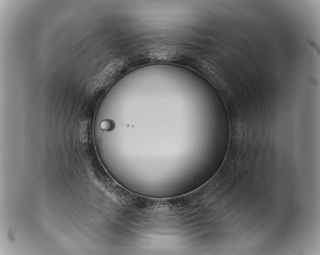 X0000100410738200806131035