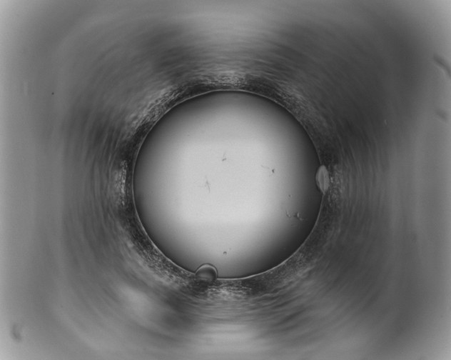 X0000100410739200806131035