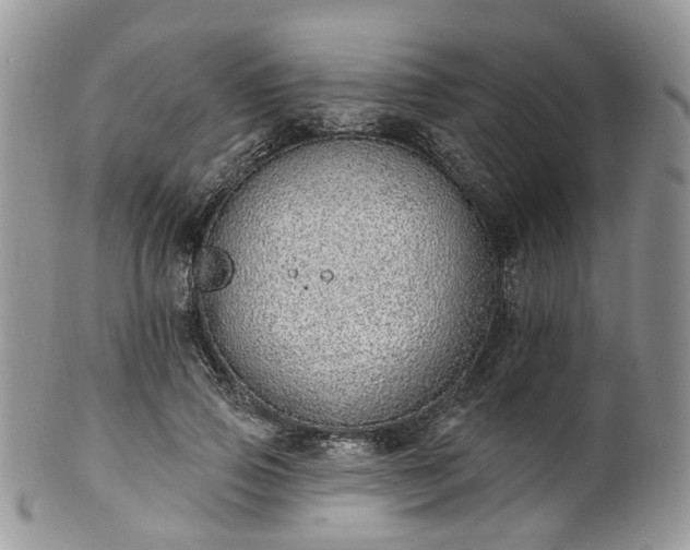 X0000100410741200806131035