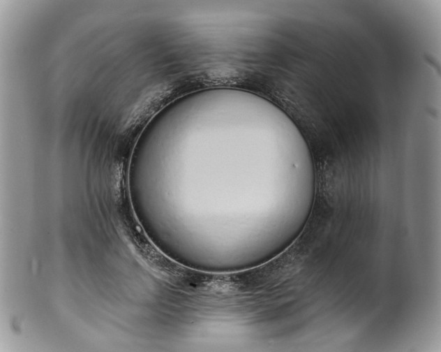 X0000100410742200806131035