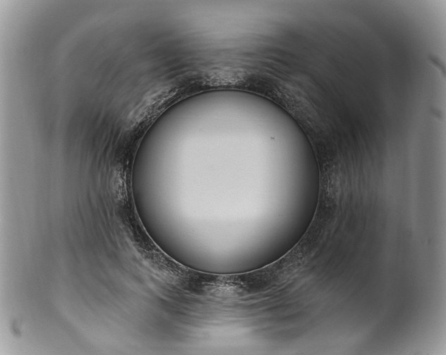 X0000100410743200806131035