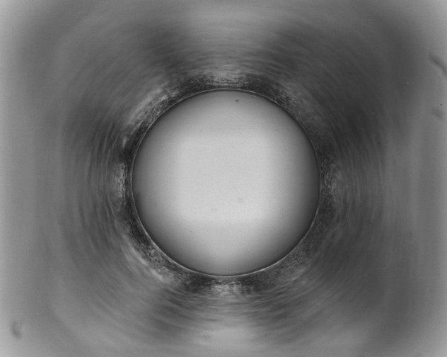 X0000100410744200806131035