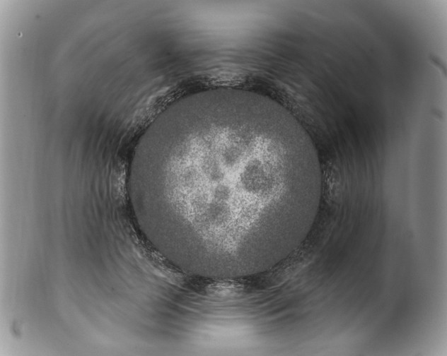 X0000100410745200806131035