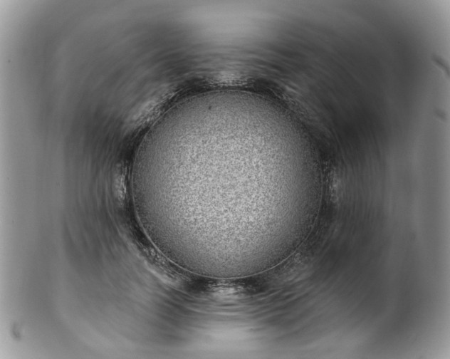 X0000100410746200806131035