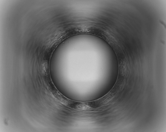 X0000100410747200806131035