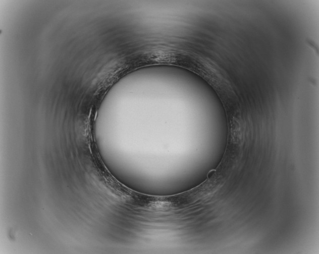 X0000100410748200806131035