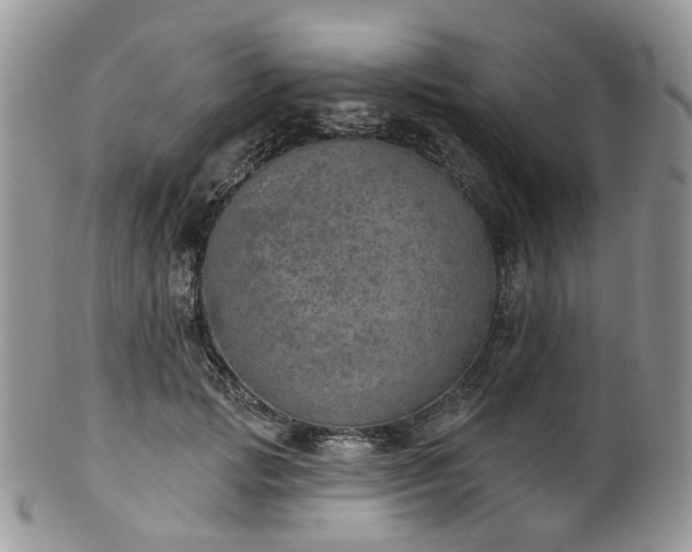 X0000100410749200806131035