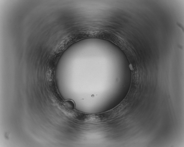 X0000100410750200806131035