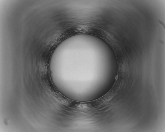 X0000100410751200806131035