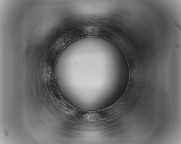 X0000100410752200806131035