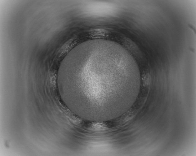 X0000100410753200806131035