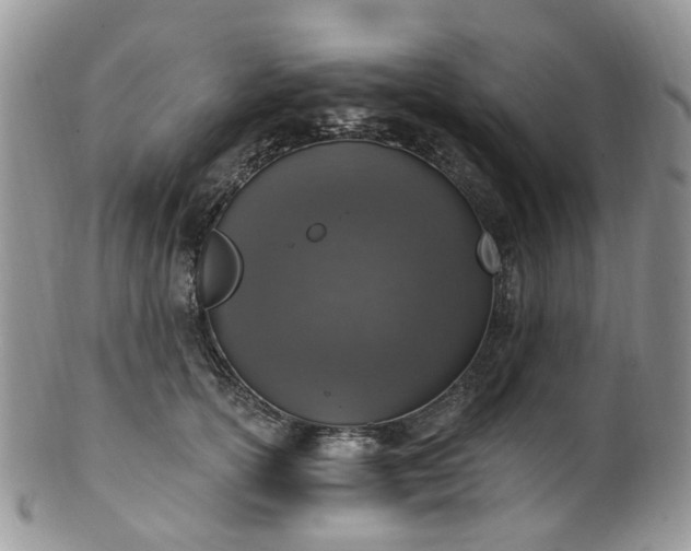 X0000100410754200806131035