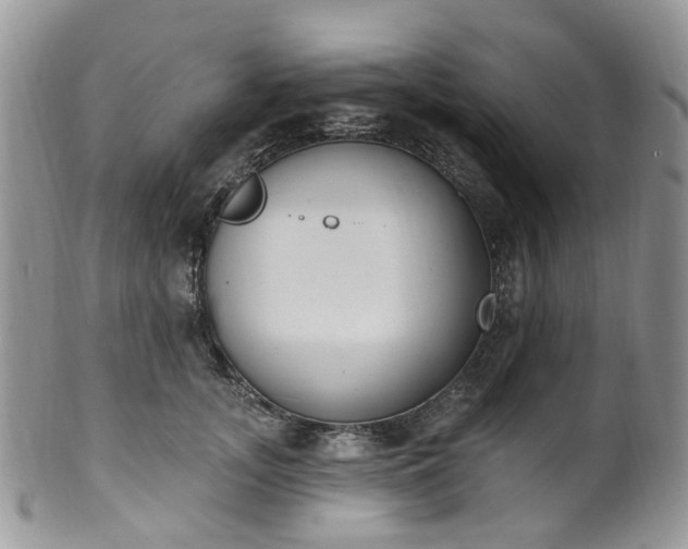 X0000100410755200806131035