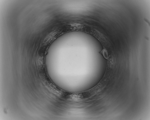 X0000100410756200806131035