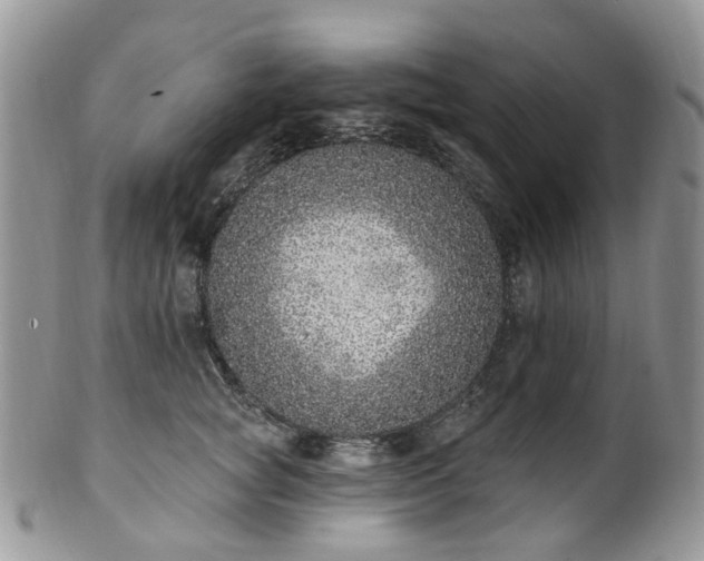 X0000100410757200806131035