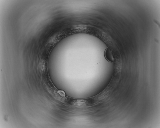 X0000100410758200806131035