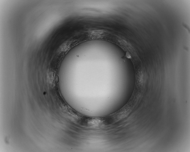 X0000100410759200806131035