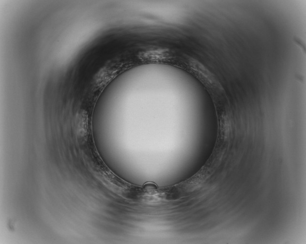 X0000100410760200806131035