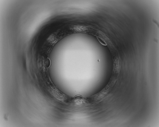 X0000100410762200806131036