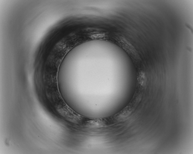 X0000100410763200806131036