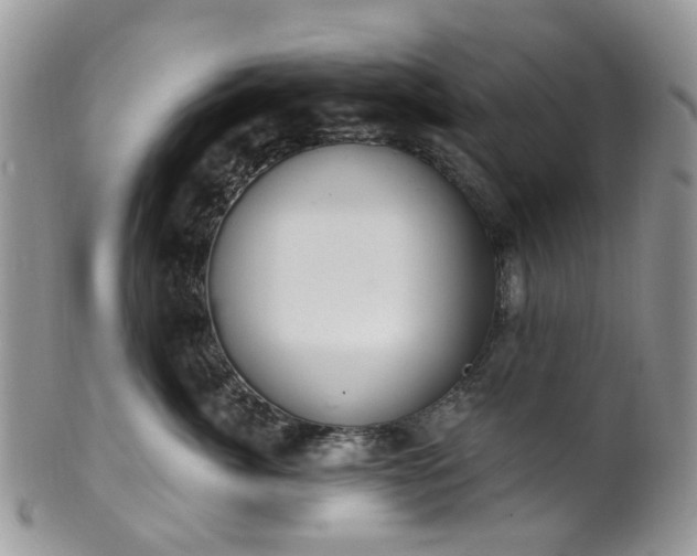 X0000100410764200806131036