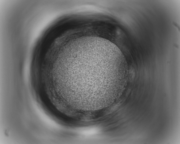 X0000100410765200806131036