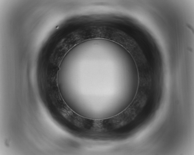 X0000100410766200806131036