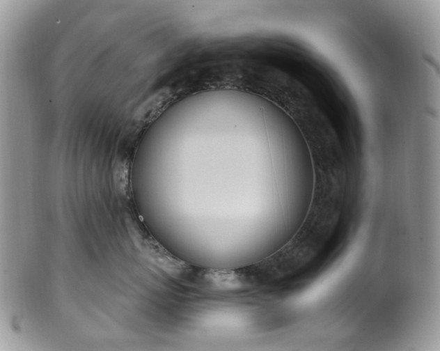 X0000100410767200806131036